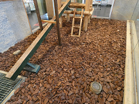 屋内運動場の床材をウッドチップへ変更